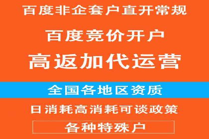 竞价广告的智能投放：XX平台的创新实践